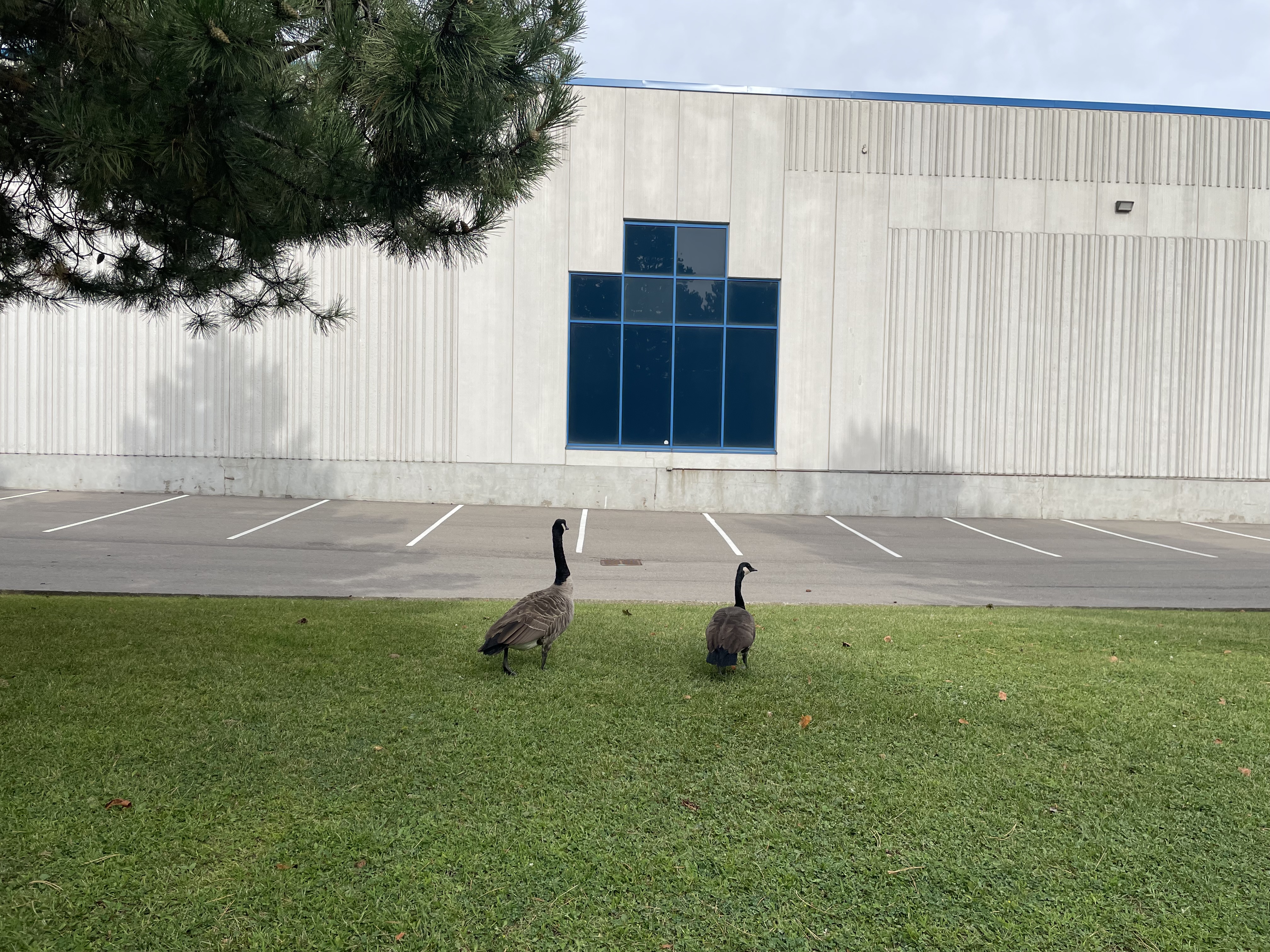 Dealing with Change (The Romantic Way…)